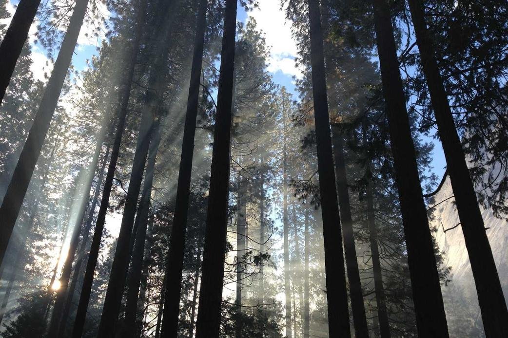 Nesciunt non corrupti aliquam